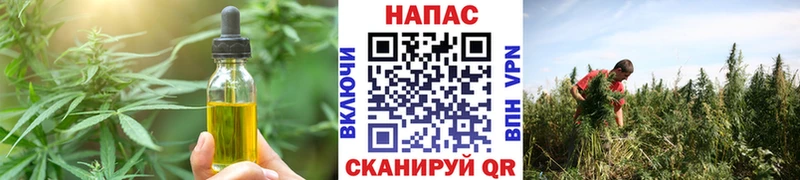 Cannafood конопля  Ступино 
