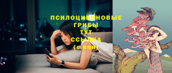 дурь Армянск