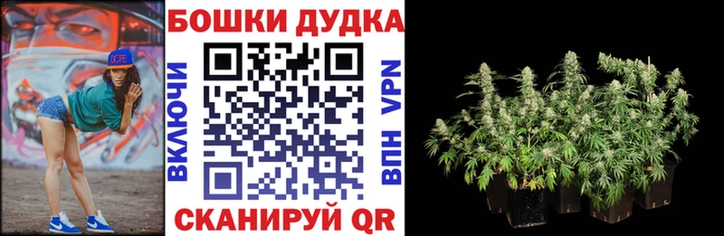 Конопля White Widow  mega tor  Ступино  наркотики 